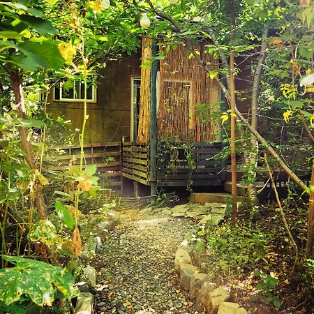 El Jardin, Eco Cabanas Boutique San Alfonso Exterior foto