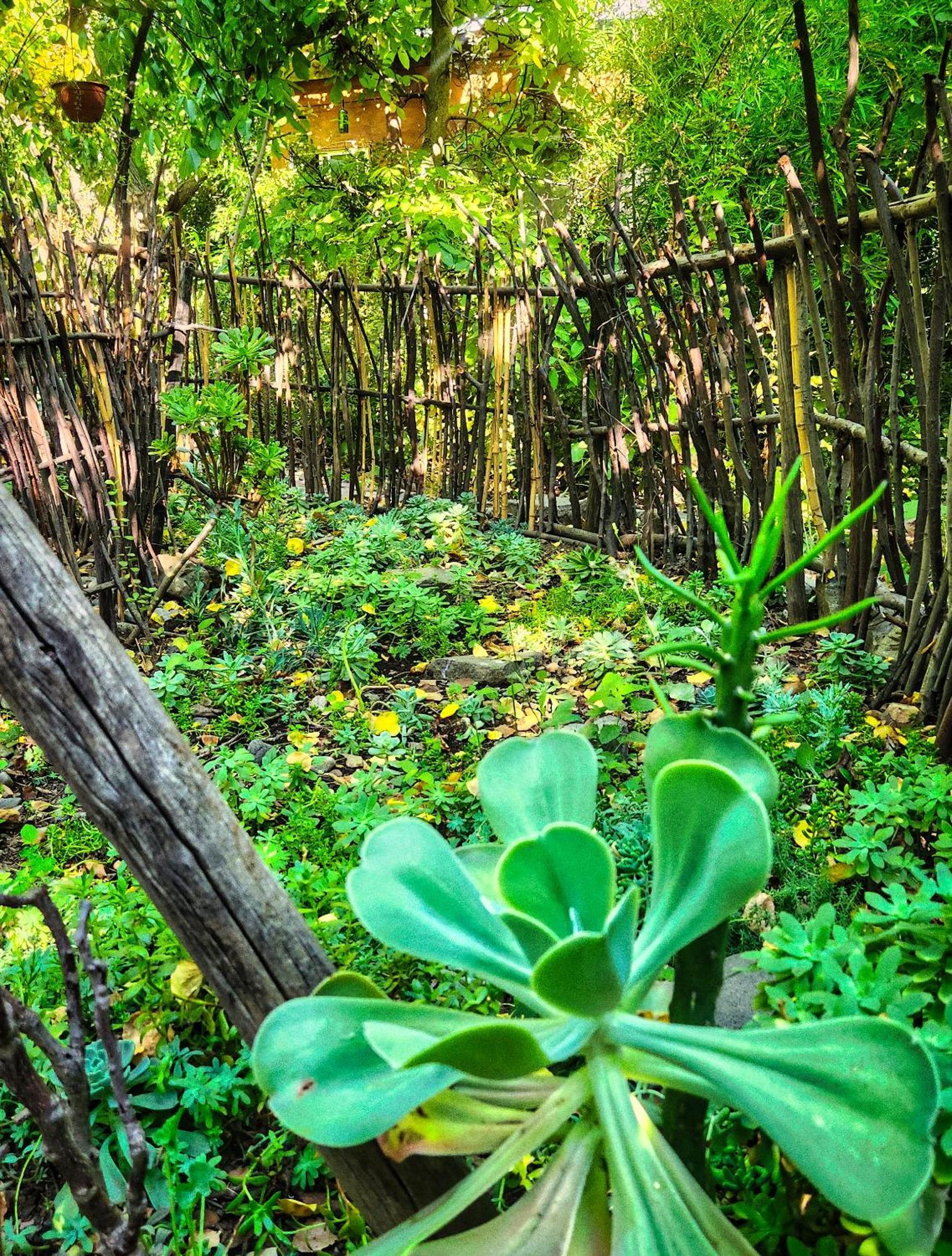 El Jardin, Eco Boutique Lodge *